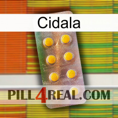 Cidala new11